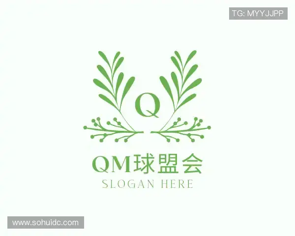 认识qm球盟会