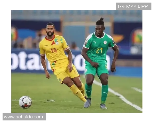 贝宁对阵多哥非洲杯精彩对决前瞻分析与球队状态评估